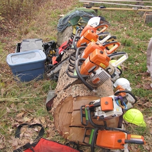 Iowa City Tree Service