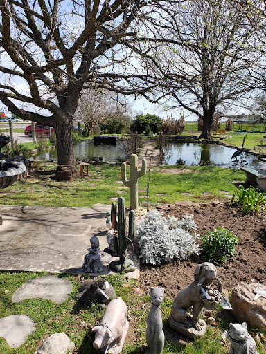 Water Garden Gems Garden Center