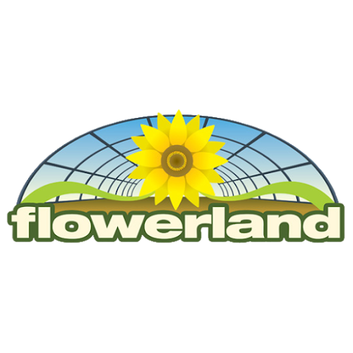 Flowerland Cut Flowers Ltd - Florist