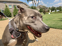 Happy Critters Pet Sitters - Photo 7 - Car repair in Salado, TX, Temple