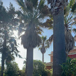 Photo n°9 de l'avis de Valentina.a fait le 26/04/2024 à 10:09 sur le  Quinta del Mar da Luz à Praia da Luz