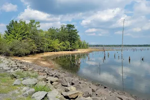 Chestnut Point Manasquan Reservoir image