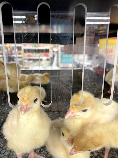 Home Improvement Store «Tractor Supply Co.», reviews and photos, 1360 Strickler Rd, Mount Joy, PA 17552, USA