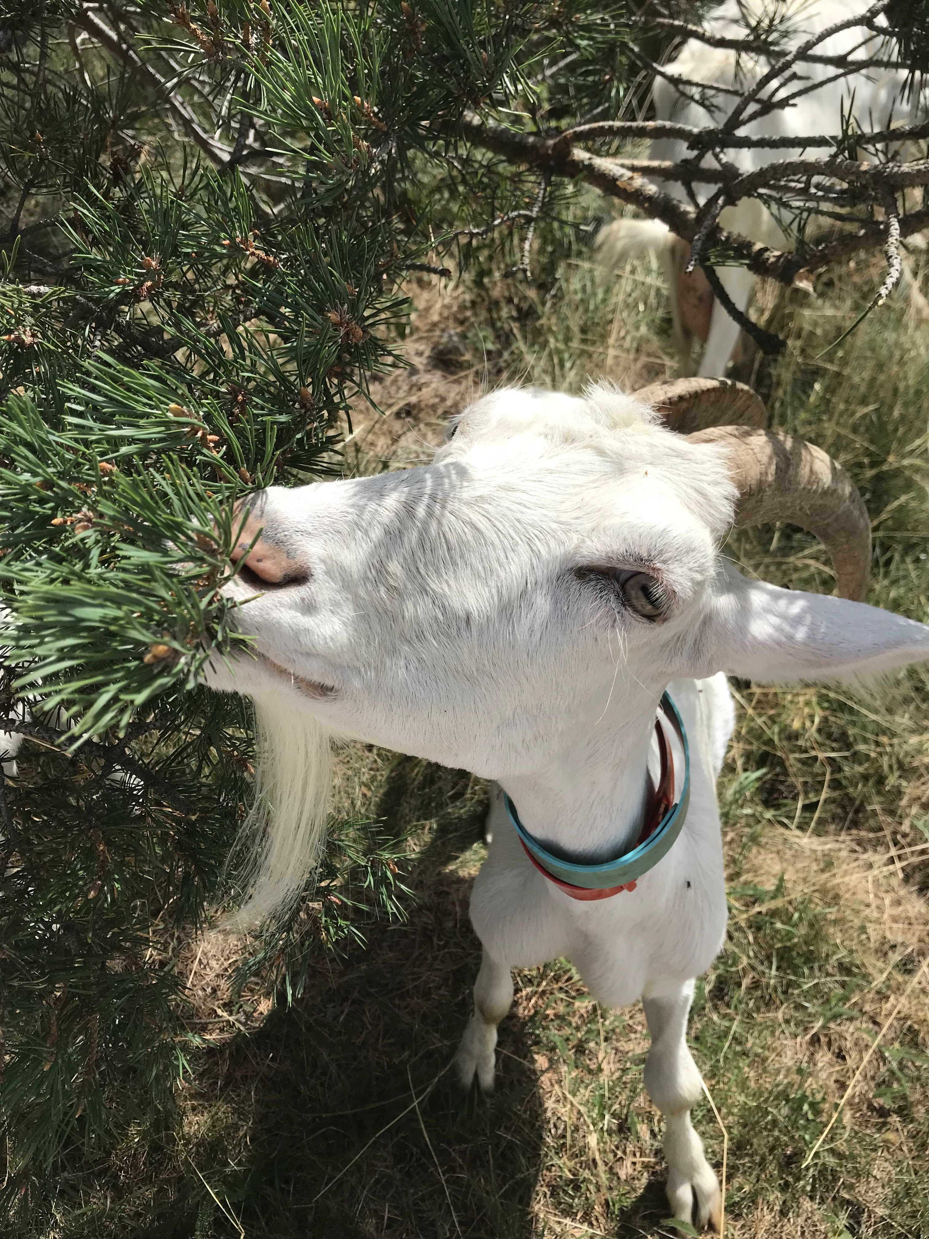 Photo n° 1 de l'avis de Justine.e fait le 25/08/2018 à 14:39
