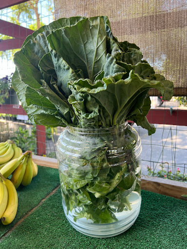 Produce Market «Crossroads Produce», reviews and photos, 10463-10487 S County Rd 39, Lithia, FL 33547, USA