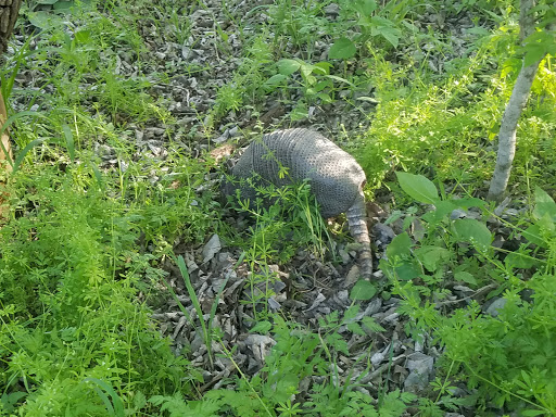 Park «Medina River Natural Area», reviews and photos, 15890 Highway 16 South, San Antonio, TX 78264, USA