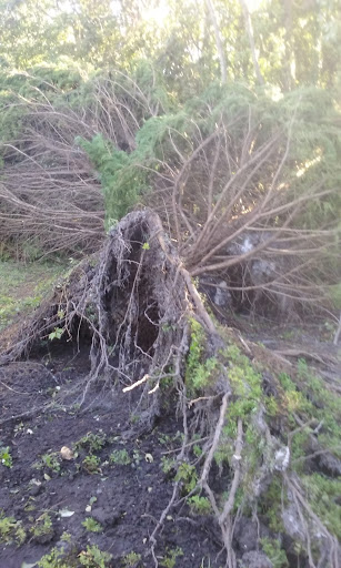 Water Park «Wild Water & Wheels», reviews and photos, 910 Highway 17 S, Surfside Beach, SC 29575, USA