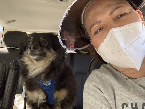 2690 S White Rd #90, San Jose, CA 95148, USA