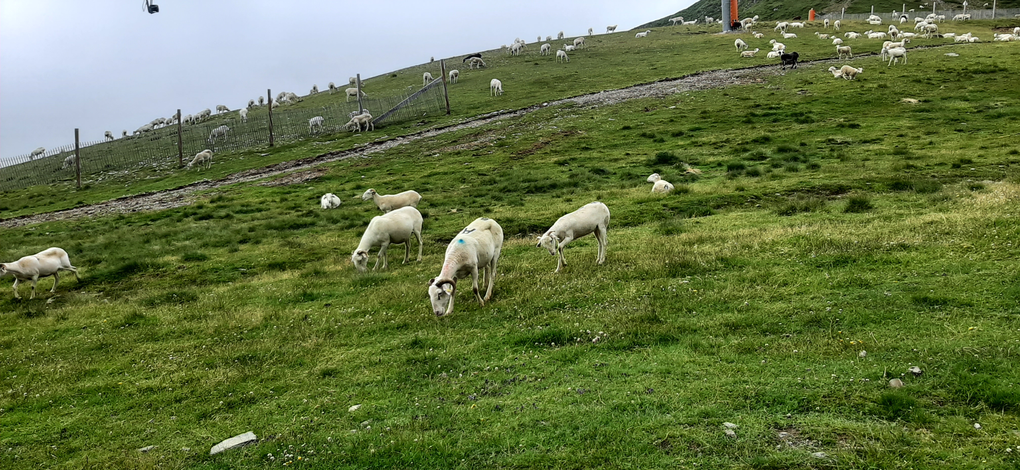 Photo n° 2 de l'avis de JPaul.A fait le 13/07/2020 à 14:01
