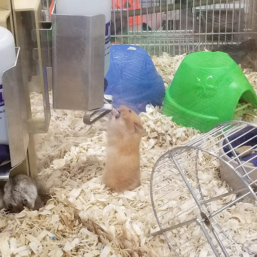 Pet Supply Store «Pet Supermarket, Inc.», reviews and photos, 9579 Bill Arp Rd #21, Douglasville, GA 30135, USA