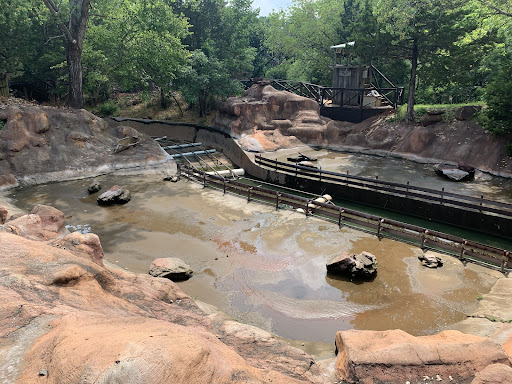 Theme Park «Frontier City Theme Park», reviews and photos, 11501 N I- 35 Service Rd, Oklahoma City, OK 73131, USA