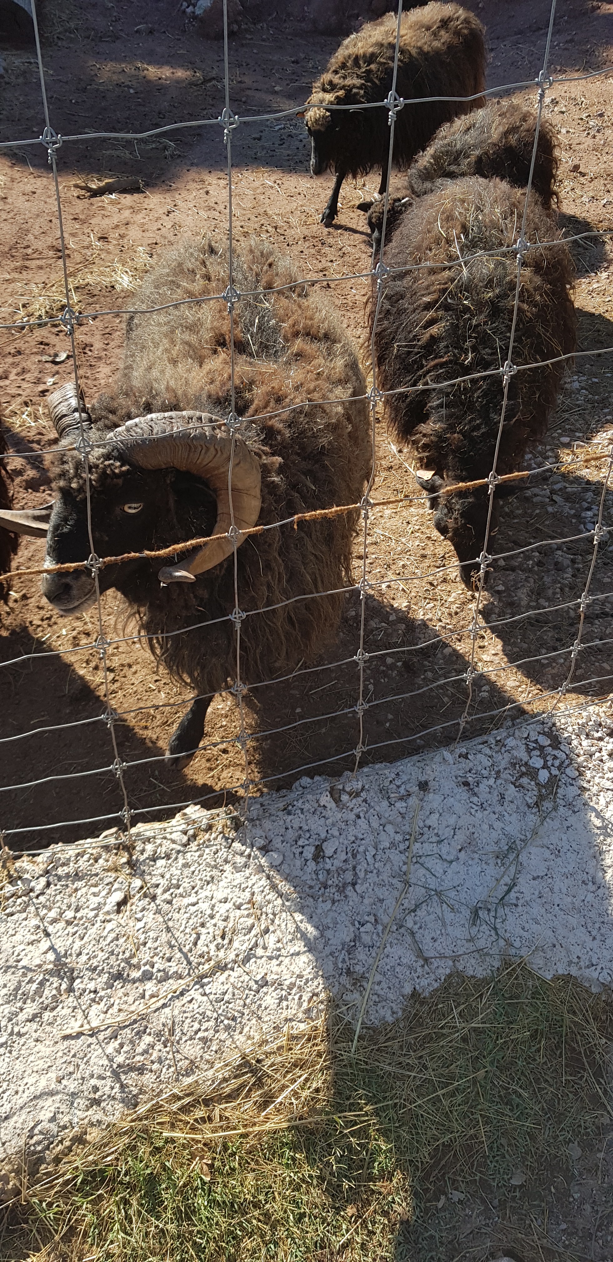 Photo n° 31 de l'avis de stephanie.a fait le 05/08/2018 à 15:29