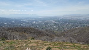 Lewis Park - photo 23
