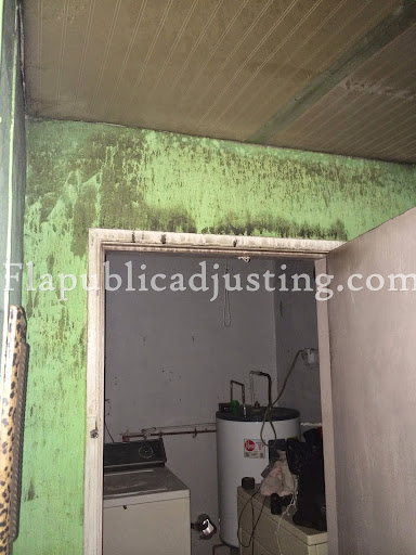 Consultant «Florida Public Adjusting», reviews and photos