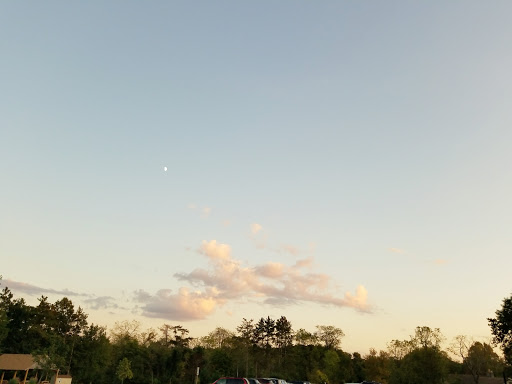 Tourist Attraction «ZipZone Canopy Tours», reviews and photos, 7925 N High St, Columbus, OH 43235, USA