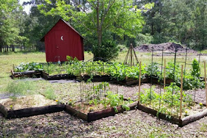 Celestial Farms