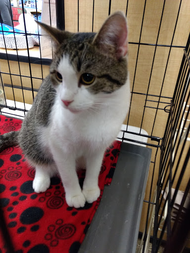 Pet Supply Store «PetSmart», reviews and photos, 8175 Arbor Square Dr, Mason, OH 45040, USA