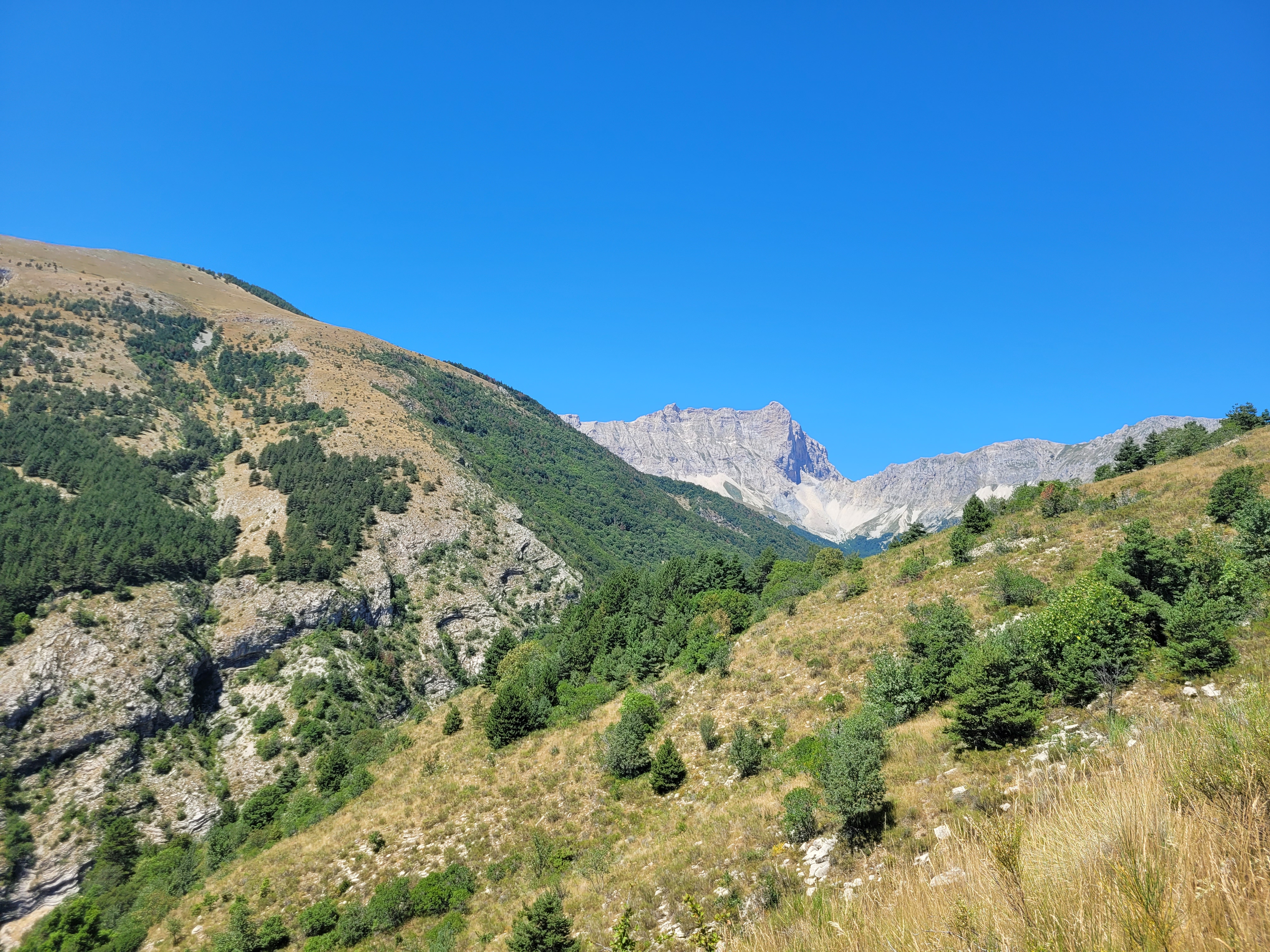 Photo n° 7 de l'avis de Ralph. fait le 31/07/2023 à 14:26