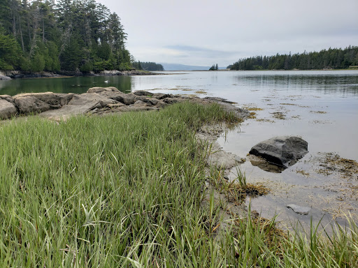 Vista Point «Schoodic Point», reviews and photos, Arey Cove Rd, Winter Harbor, ME 04693, USA