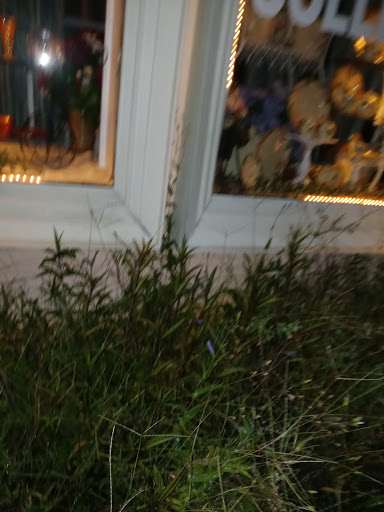 Florist «Thai-Rific Orchids Inc», reviews and photos, 5313 Gulfport Blvd S, Gulfport, FL 33707, USA