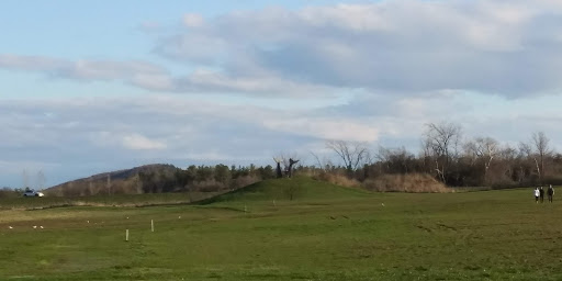 Monument «Reverence (Whales Tails)», reviews and photos, I-89, South Burlington, VT 05403, USA