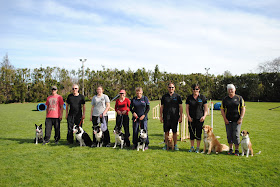 Feilding Dog Training Club