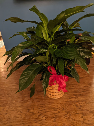 Florist «Forget Me Not Flowers & Gifts», reviews and photos, 423 Crain Hwy S, Glen Burnie, MD 21061, USA