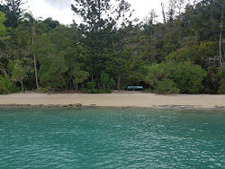 Photo de Joes Beach zone sauvage