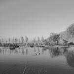 Photo n° 1 de l'avis de pascale.i fait le 14/01/2020 à 07:53 pour Aire camping-car de Donzac [AireServices] à Donzac