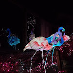 Photo n° 1 de l'avis de Typhaine. fait le 15/11/2023 à 18:58 pour Zoo d'Amnéville à Amnéville