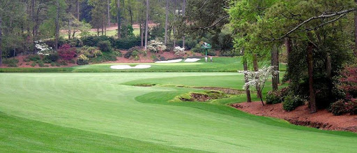 Golf Club «Chi Chi Rodriguez Golf Club», reviews and photos, 3030 N McMullen Booth Rd, Clearwater, FL 33761, USA