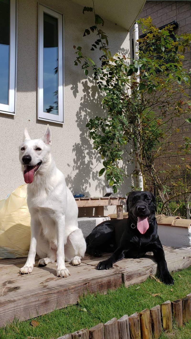 犬の幼稚園 ペットホテル エコモマイ 東京都多摩市連光寺 ペット ホテル業 グルコミ