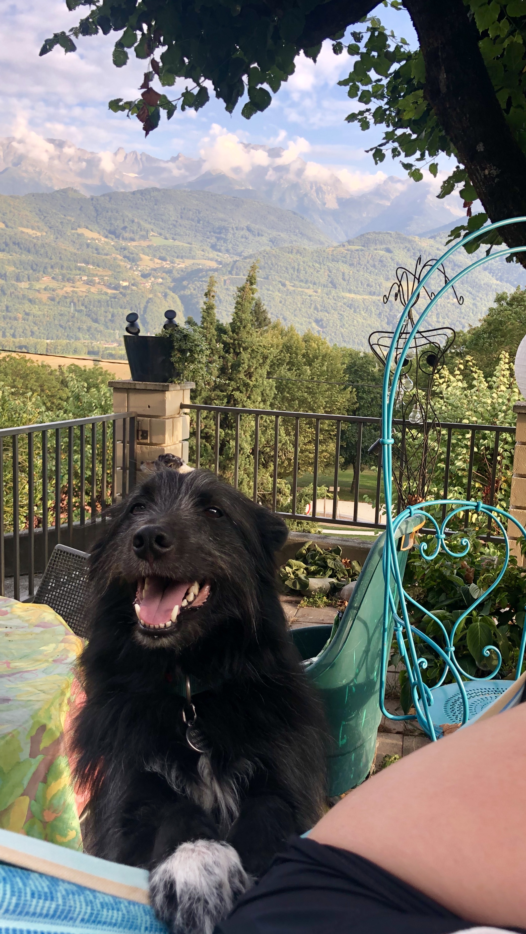 Photo n° 1 de l'avis de Madeleine.o fait le 05/11/2019 à 15:05
