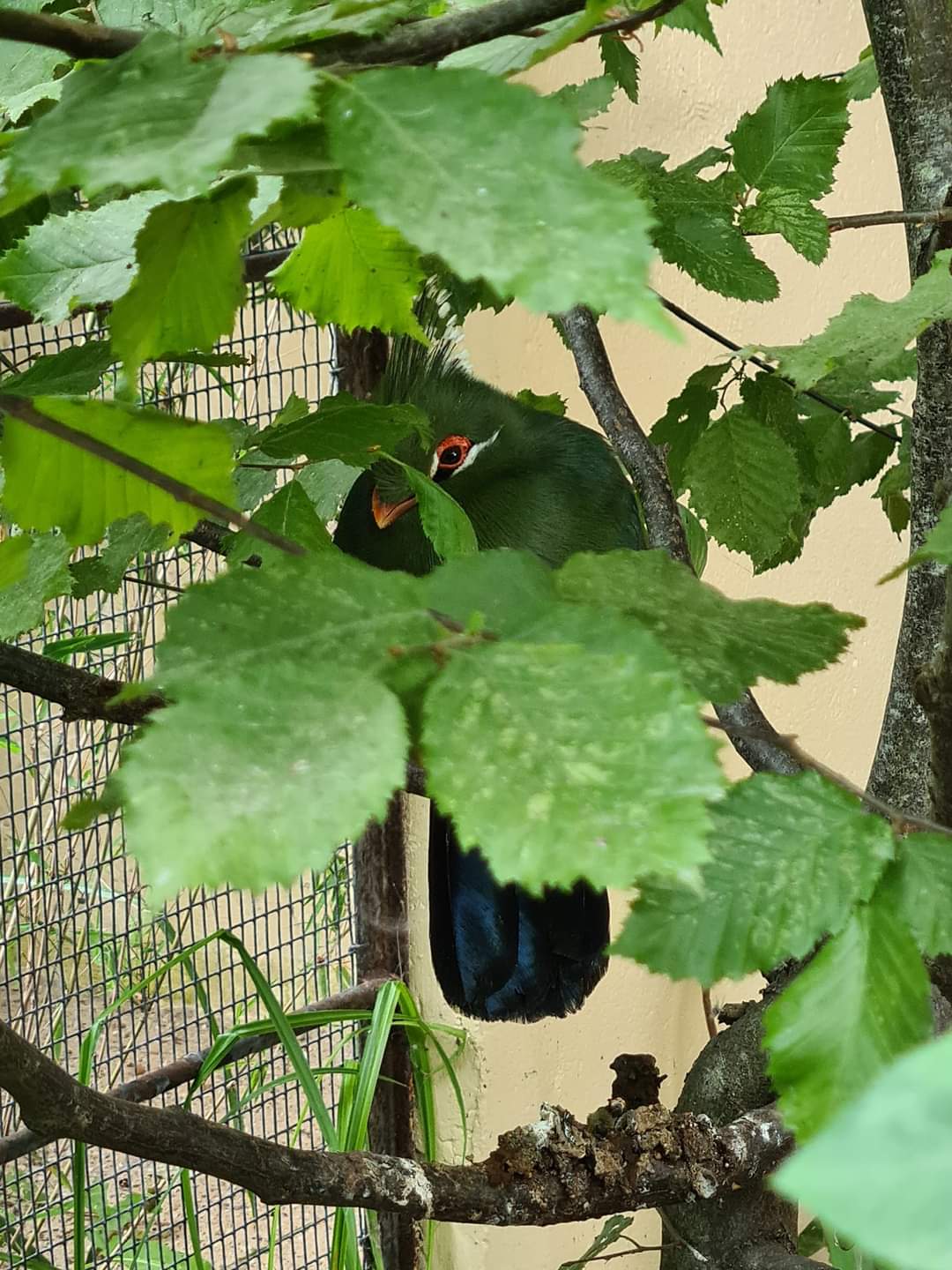 Photo n° 28 de l'avis de Maïté.e fait le 03/08/2022 à 19:24