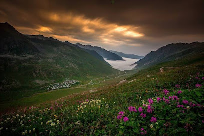 Çamlıhemşin Rent A Car