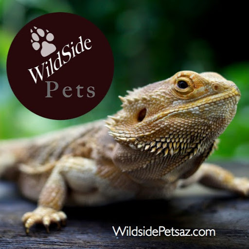 Pet Store «Wildside Pets», reviews and photos, 1042 N Higley Rd #105, Mesa, AZ 85205, USA