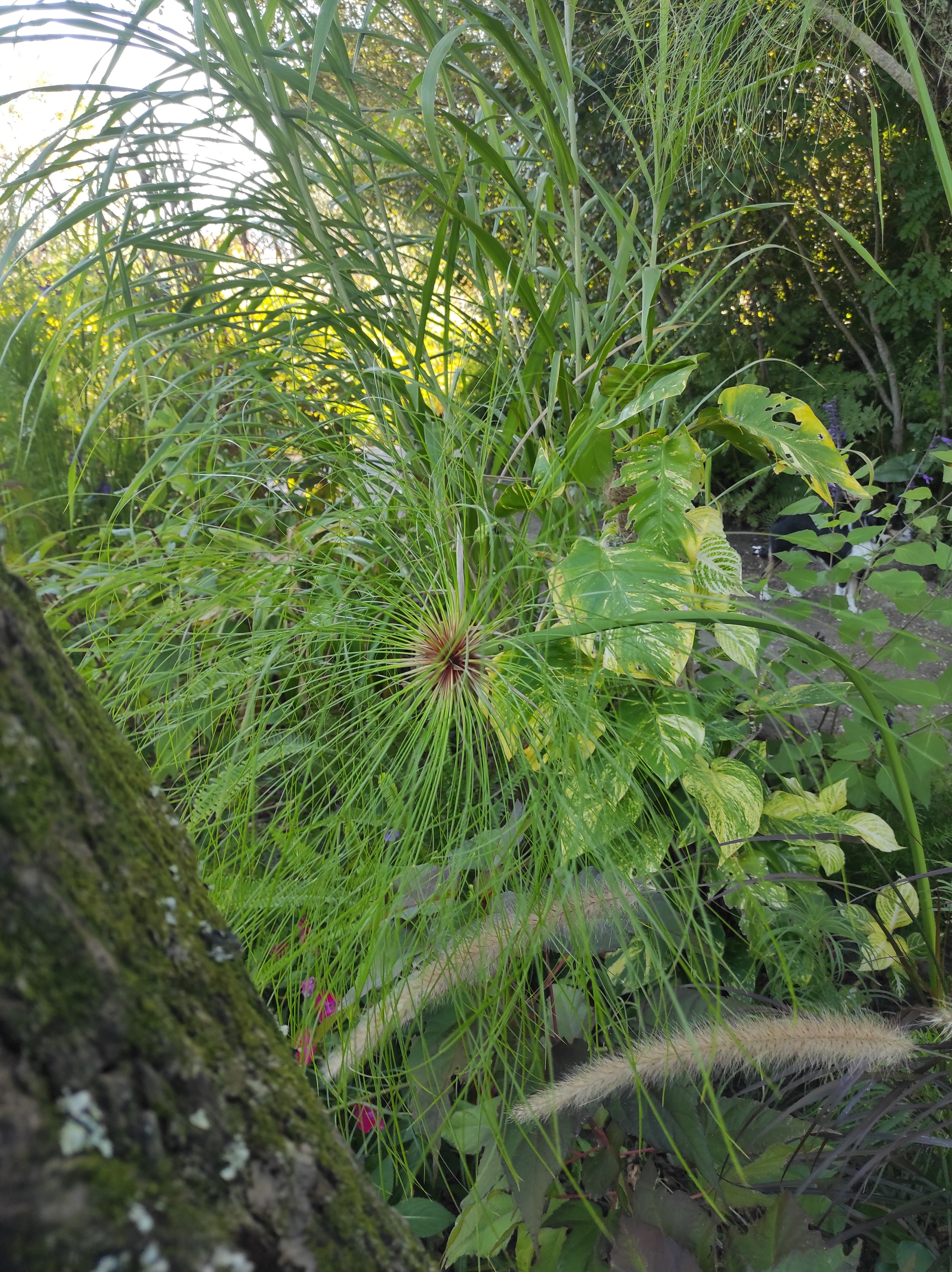 Photo n° 40 de l'avis de christine.o fait le 19/09/2022 à 17:52