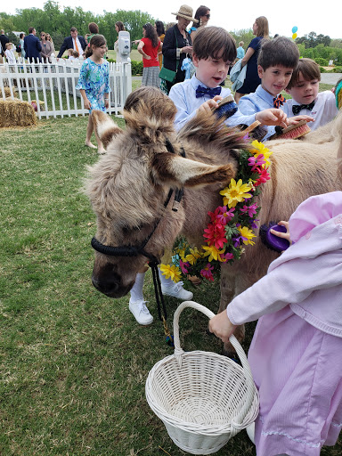 Pony Ride Service «Animals Unlimited LLC est 1996 travelling petting zoo/pony rides/travelling exotic animal programs .», reviews and photos, 16805 Mountain Rd, Montpelier, VA 23192, USA