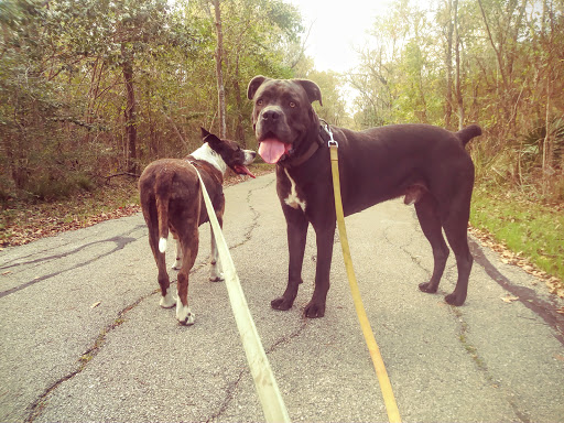 Park «Herman Brown Park», reviews and photos, 400 Mercury Dr, Houston, TX 77013, USA