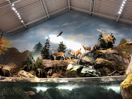 Sporting Goods Store «Bass Pro Shops», reviews and photos, 1 Bass Pro Dr, Bristol, TN 37621, USA