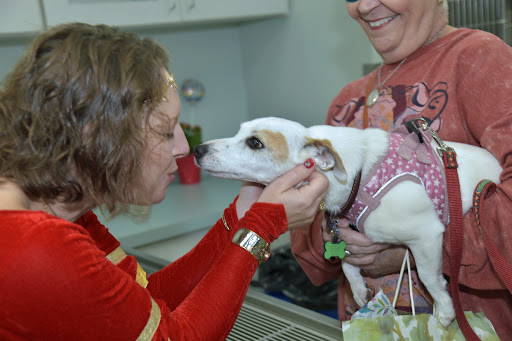 Sage Pet Hospital image