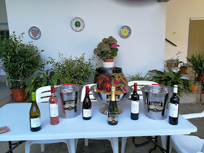 Bodegas delgado collado s.l.