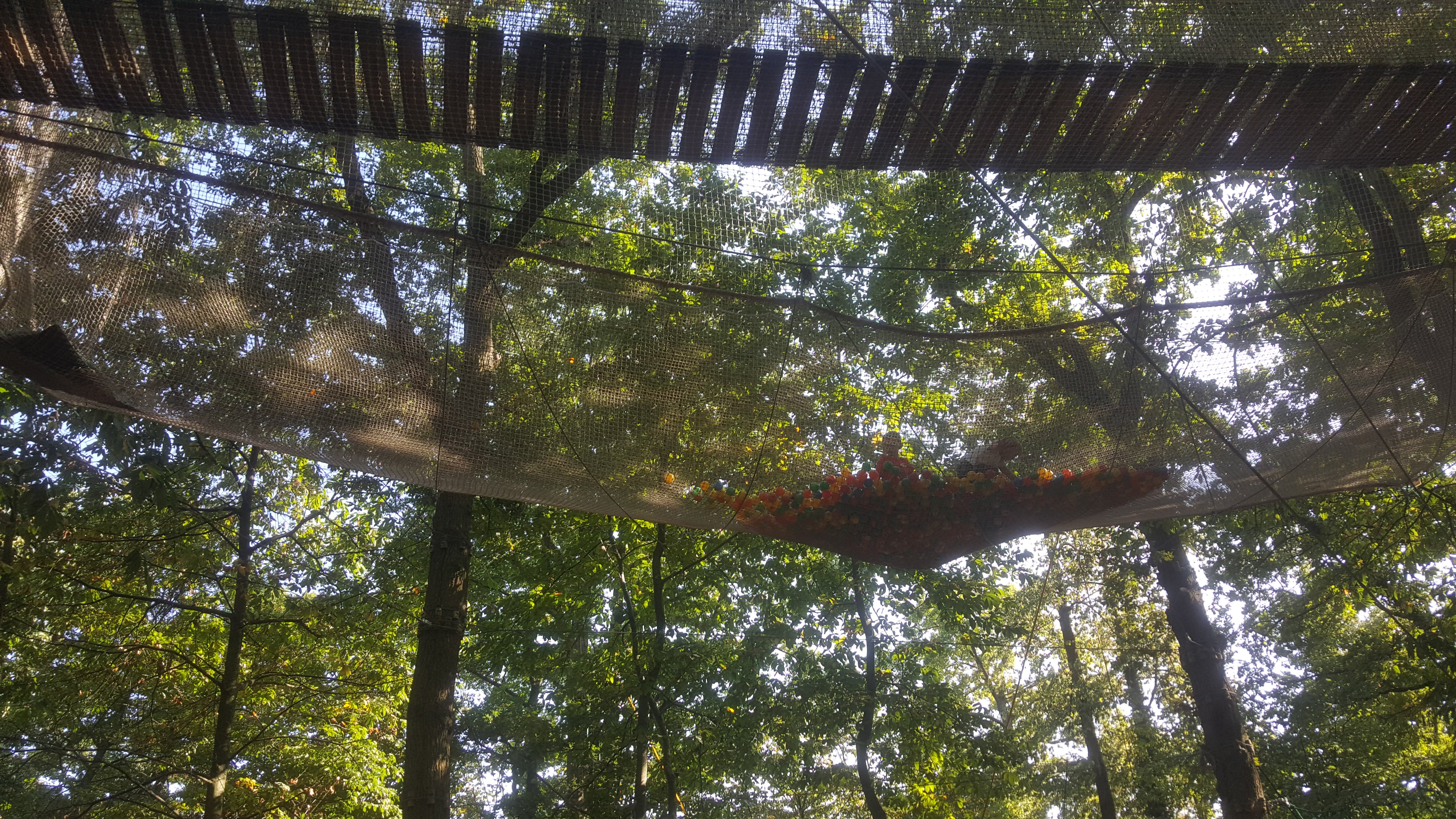 Photo n° 3 de l'avis de Thomas.e fait le 29/09/2019 à 19:39