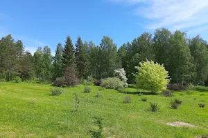 Ботанический сад Петрозаводского государственного университета image