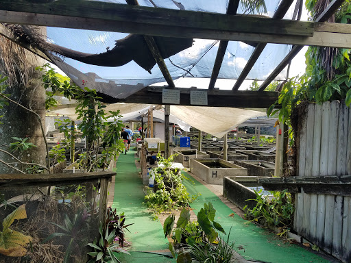 Tropical Fish Store «Neighborhood Fish Farm», reviews and photos, 12150 SW 45th St, Miami, FL 33175, USA