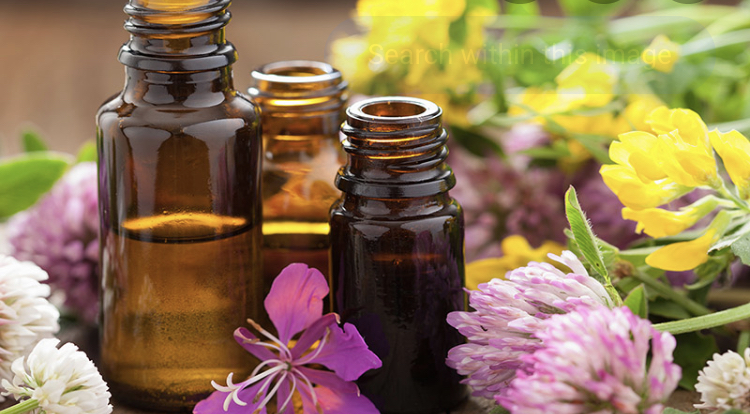 Roxhands Pro Massage 19131