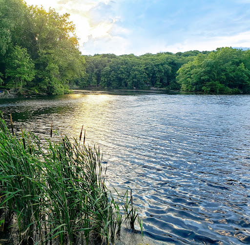 Park «Muriel Hepner Nature Park», reviews and photos, Diamond Spring Rd, Denville, NJ 07834, USA