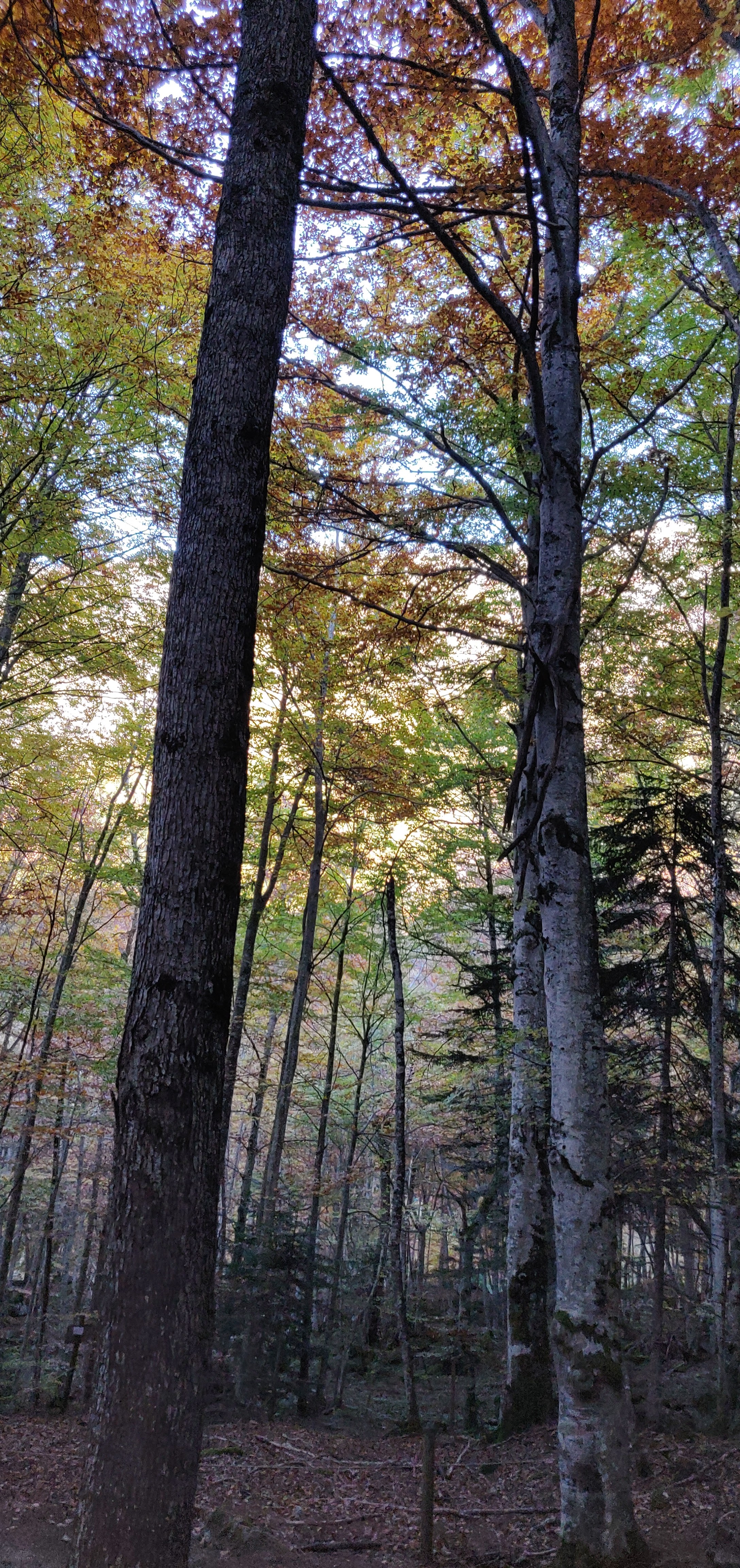 Photo n° 4 de l'avis de Arti.l fait le 29/10/2021 à 16:50