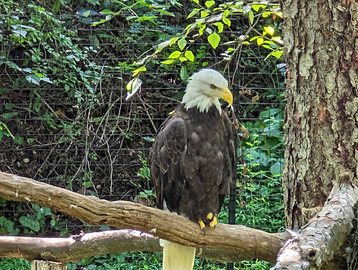 Zoo «Good Zoo & Benedum Theater», reviews and photos, 465 Lodge Dr, Wheeling, WV 26003, USA