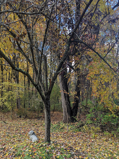 St Sebastians War Veterans